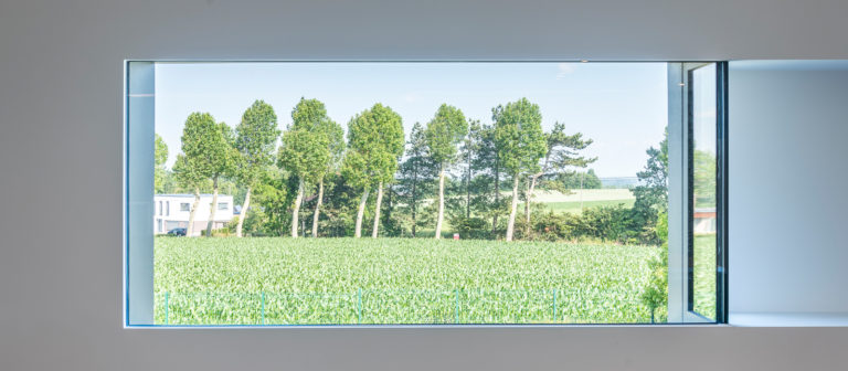 Kantoor renovatie Vitralux - interieurarchitecten SevenO